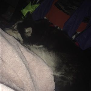 Meet your Posher, Olivia